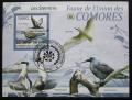 Poštová známka Komory 2009 Vtáci Mi# Block 523 Kat 15€