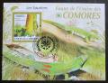 Poštová známka Komory 2009 Felsuma Mi# Block 513 Kat 15€