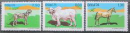 Poštové známky Brazílie 1974 Zvieratá Mi# 1459-61 Kat 20€