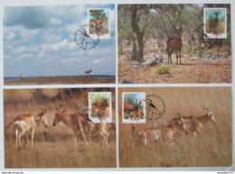 Maxikarty Mozambik 1991 Antilopy, WWF 108 Mi# 1231-34