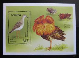 Poštová známka Lesotho 1989 Vtáci Mi# Block 66