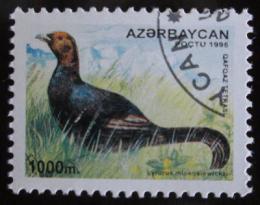 Poštová známka Azerbajdžán 1995 Tetøívek Mi# 275
