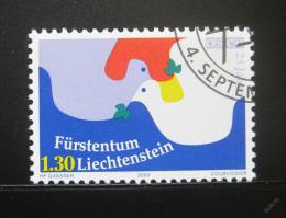 Poštová známka Lichtenštajnsko 2000 Rada bezpeènosti EU Mi# 1248