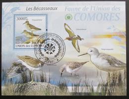 Poštová známka Komory 2009 Vtáci Mi# Block 517 Kat 15€