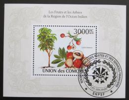 Poštová známka Komory 2009 Ovocie Mi# Block 568 Kat 15€