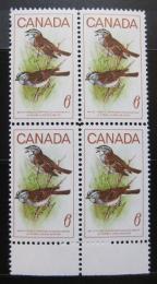 Poštovní známky Kanada 1969 Strnadec bìlohrdý, ètyøblok Mi# 438