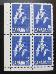 Poštové známky Kanada 1963 Husi, 4blok Mi# 357