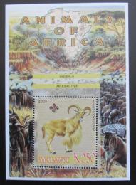 Poštová známka Malawi 2005 Paovce høivnatá, skauting