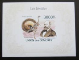 Poštová známka Komory 2009 Fosílie, pravìk Mi# Block 564 B