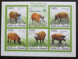 Poštové známky Komory 2009 Štìtkoun africký neperf. Mi# 2430-34 B