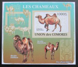 Poštová známka Komory 2009 Velbloud neperf Deluxe Mi# 2133 B