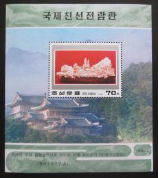 Potov znmka KLDR 1997 Vstava Myohyang Mi# Block 369 - zvi obrzok
