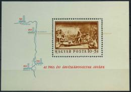 Poštová známka Maïarsko 1965 Pomoc pøi povodních Mi# Block 49