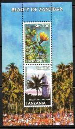 Poštové známky Tanzánia 2006 Krásy Zanzibaru Mi# Block 594