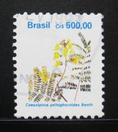 Poštová známka Brazílie 1991 Kvety Mi# 2413