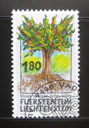 Poštová známka Lichtenštajnsko 1993 Misionáøská práce Mi# 1064