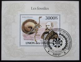 Poštová známka Komory 2009 Fosílie Mi# Block 564 Kat 15€