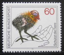 Poštová známka Nemecko 1981 Ochrana pøírody Mi# 1102