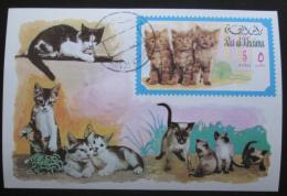Poštová známka Rás al-Chajma 1971 Maèky Mi# Block 105