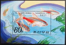 Poštová známka KLDR 1991 Ryby Mi# Block 266