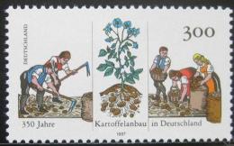 Poštová známka Nemecko 1997 Kultivace brambor Mi# 1946
