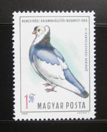 Poštová známka Maïarsko 1969 Výstava holubù Mi# 2562
