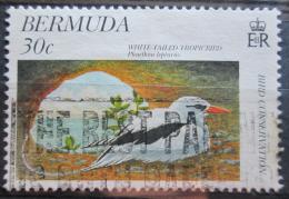 Poštová známka Bermudy 1997 Ochrana vtákov Mi# 723