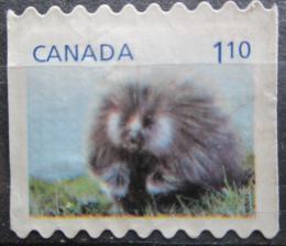 Poštová známka Kanada 2013 Urzon kanadský Mi# 2928