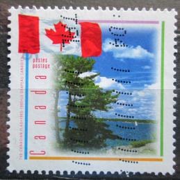Poštová známka Kanada 1995 Štátna vlajka Mi# 1465