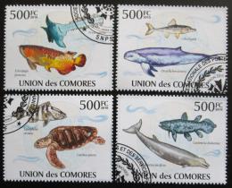 Potov znmky Komory 2009 Morsk fauna Mi# 2717-20 Kat 9 - zvi obrzok