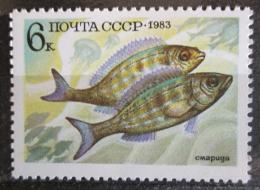 Poštová známka SSSR 1983 Okoun Mi# 5295