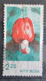 Poštová známka India 1981 Ovocie Mi# 863