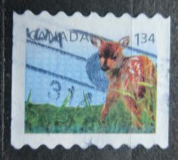 Poštová známka Kanada 2013 Jelenec bìloocasý Mi# 2929