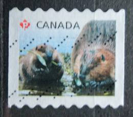 Poštová známka Kanada 2014 Bobøi Mi# 3087
