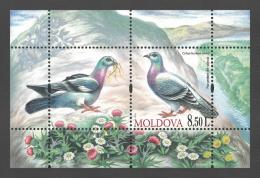Poštové známky Moldavsko 2010 Holub skalní Mi# Block 50
