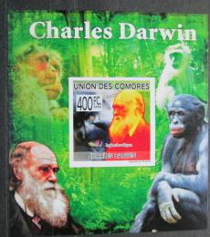 Poštová známka Komory 2009 Charles Darwin neperf. Mi# 2228 B Block