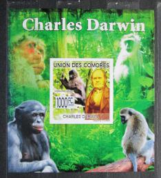 Poštová známka Komory 2009 Charles Darwin neperf. Mi# 2229 B Block