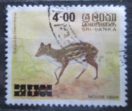 Poštová známka Srí Lanka 1981 Kanèil Mi# 544