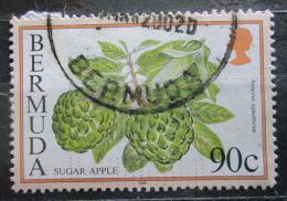 Poštová známka Bermudy 1998 Anona šupinatá Mi# 676 III