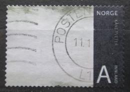 Poštovní známka Norsko 2008 Umìní, Kare Tveter Mi# 1666
