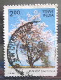 Poštová známka India 1981 Kasie Mi# 880