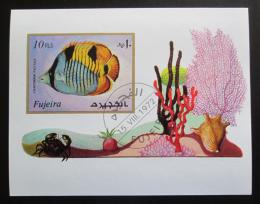 Poštová známka Fudžajra 1972 Morská fauna neperf. Mi# Block 108 B