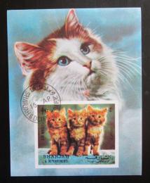 Poštová známka Šardžá 1972 Ko�ata Mi# Block 120