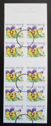 Poštové známky Belgicko 2000 Violka trojbarevná Mi# 2987 Kat 8€