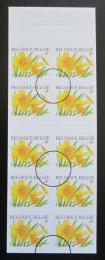 Poštové známky Belgicko 2001 Narcisy Mi# 3095 Kat 9€