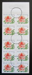Poštové známky Belgicko 1997 Rododendron Mi# 2784 Kat 8€