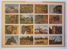 Poštové známky Umm al-Kuvajn 1972 Fauna neperf. TOP SET Mi# 1002-17 B Kat 25€