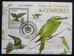 Poštová známka Komory 2009 Vtáci Mi# Block 514 Kat 15€  - zväèši� obrázok