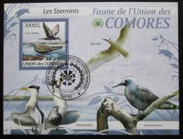 Poštová známka Komory 2009 Vtáci Mi# Block 523 Kat 15€ - zväèši� obrázok