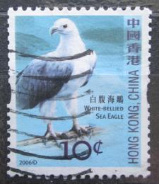 Poštová známka Hongkong 2006 Orol bìlobøichý Mi# 1387